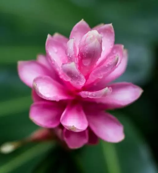 Majatalo Casa Colores