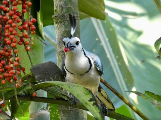 پانسیون Casa Colores