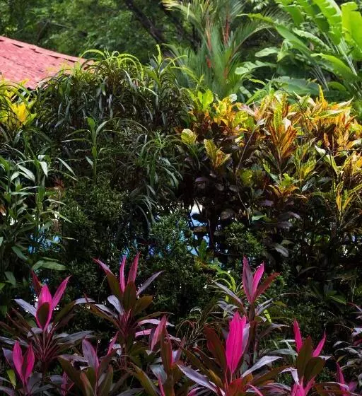 Majatalo Casa Colores