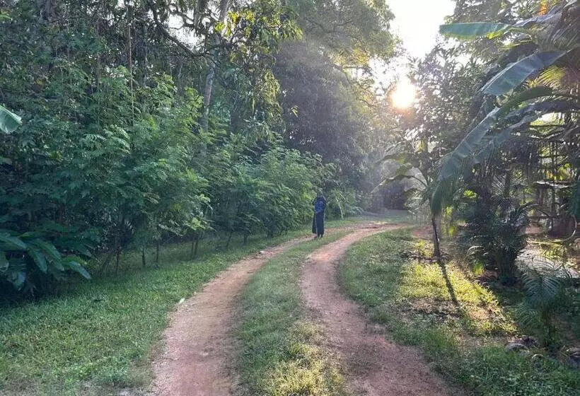 Aamiaismajoitus (B&B) City Paradise Dambulla