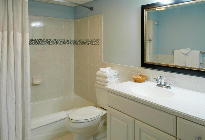 فندق على الطريق Sea Crest Inn