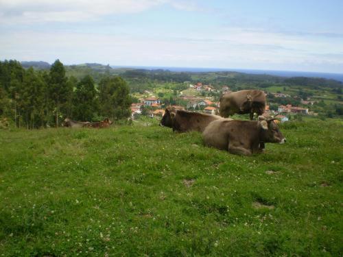 بنسيون Casa De Aldea Ruiloba
