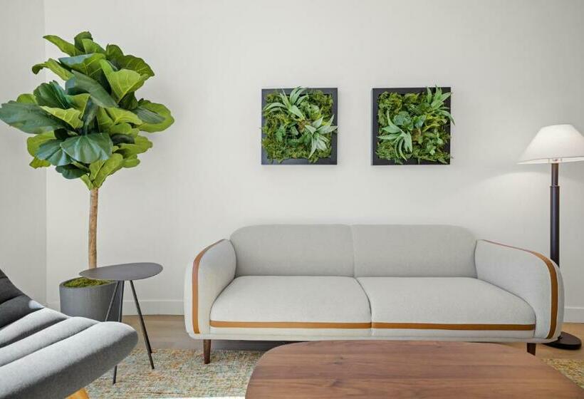 Whyhotel By Placemakr, San Jose