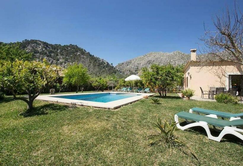 Charming Villa On Outskird Of Pollensa, Special Prices Car Hire For The Guests