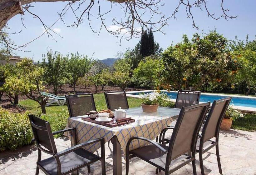 Charming Villa On Outskird Of Pollensa, Special Prices Car Hire For The Guests
