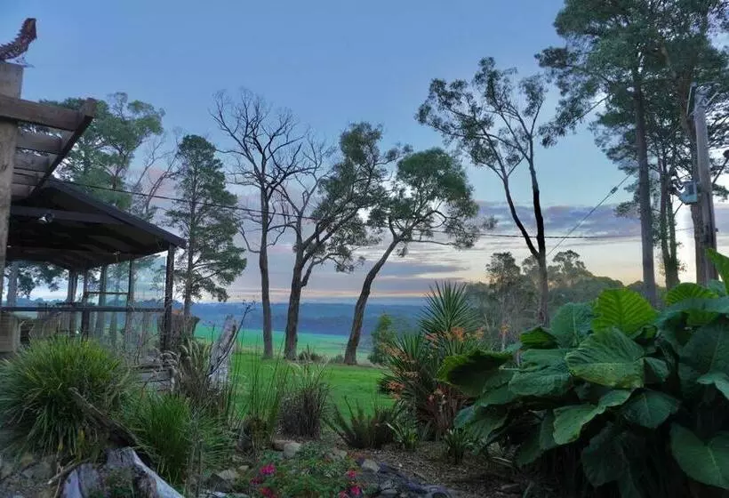 Gorgeous Villa 10 Acre Of Land