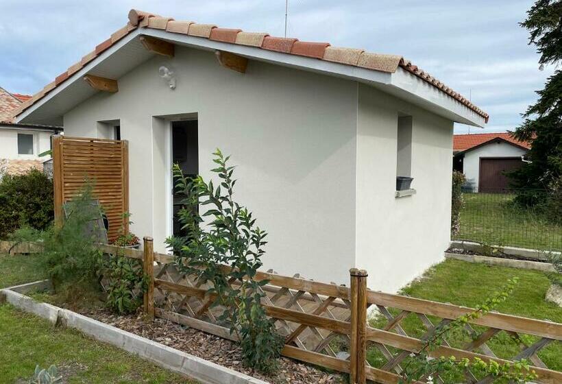 Joli Studio Neuf Tout Equipé, Wifi