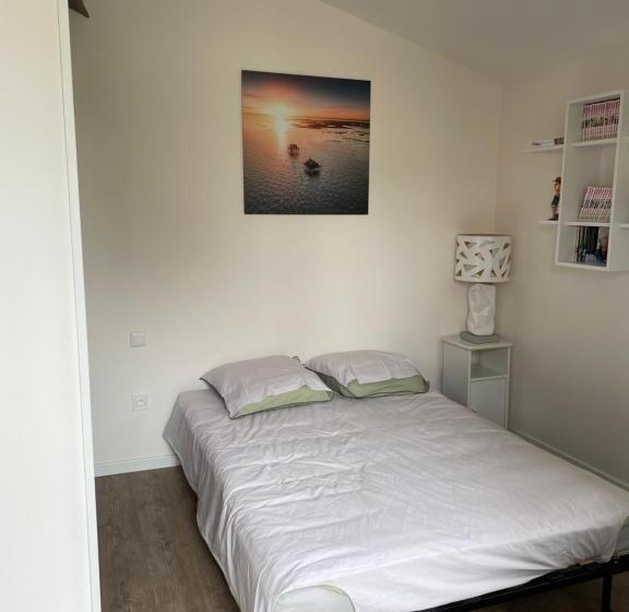 Joli Studio Neuf Tout Equipé, Wifi