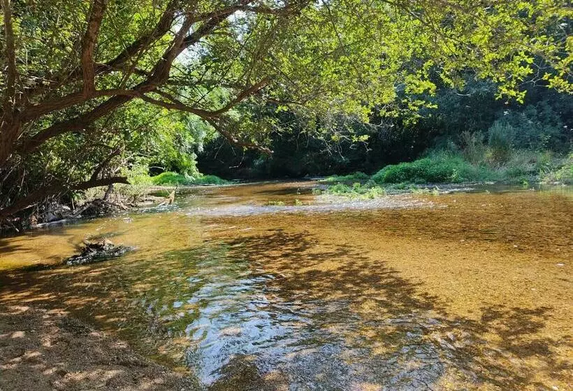 Casa Río Cañón