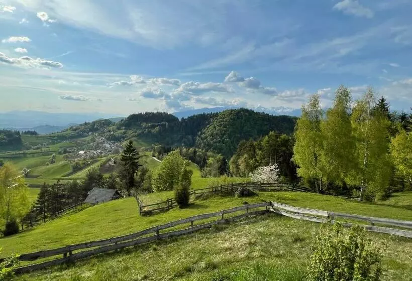 Mountain View Cottage