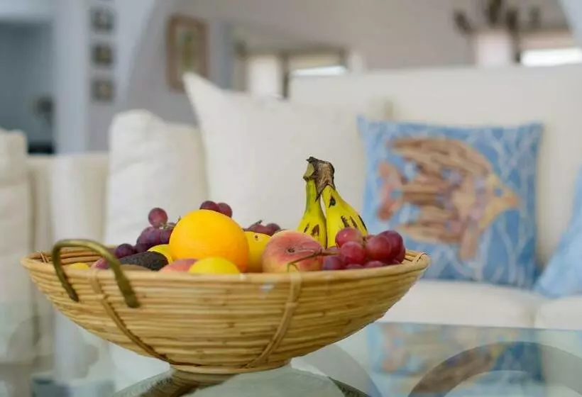 Vacaciones Vistas Al Mar