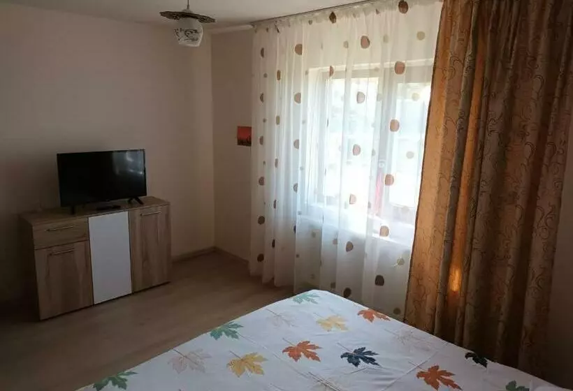 Casa Body_adda