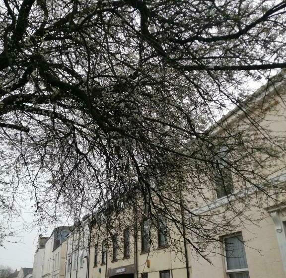 City Centre Apartment With South Facing Patio Close To The Harbour