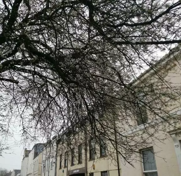 City Centre Apartment With South Facing Patio, 10 Minutes Walk To The Harbour