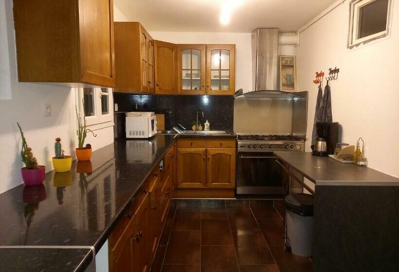 Moissac Charmant Appartement Avec Jardin