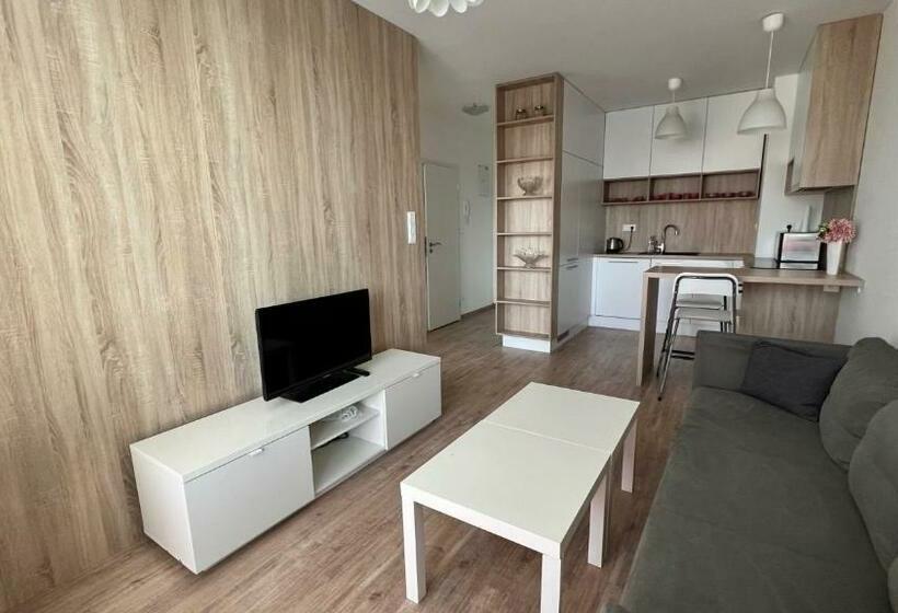 2 Room Apartment With Terrace, Prievozska Street