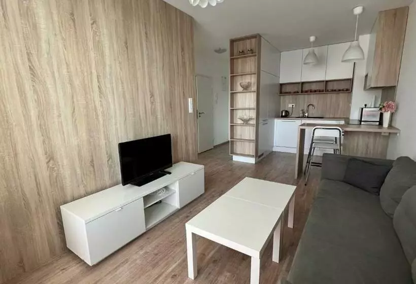 Air Conditioned 2 Room Apartment With Terrace, Prievozska Street