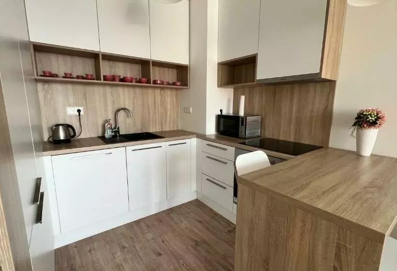 Air Conditioned 2 Room Apartment With Terrace, Prievozska Street