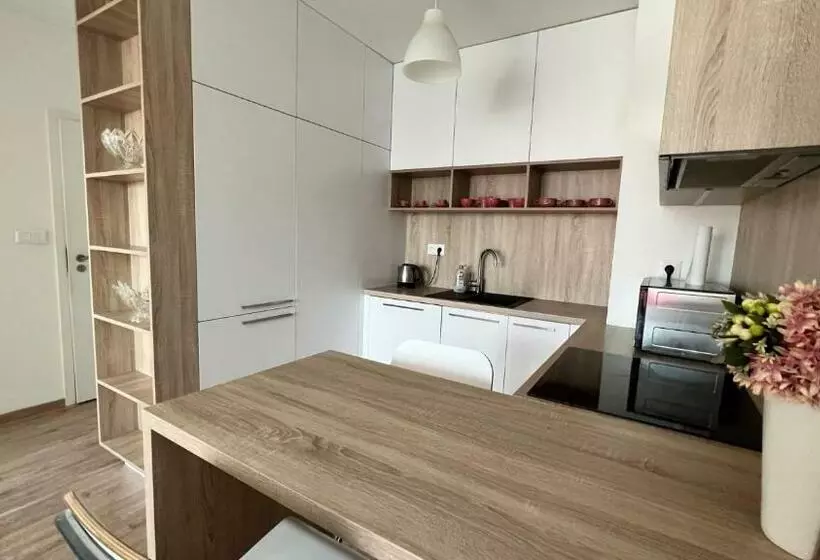 Air Conditioned 2 Room Apartment With Terrace, Prievozska Street
