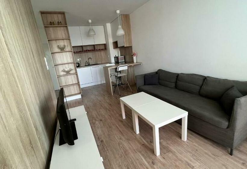 2 Room Apartment With Terrace, Prievozska Street