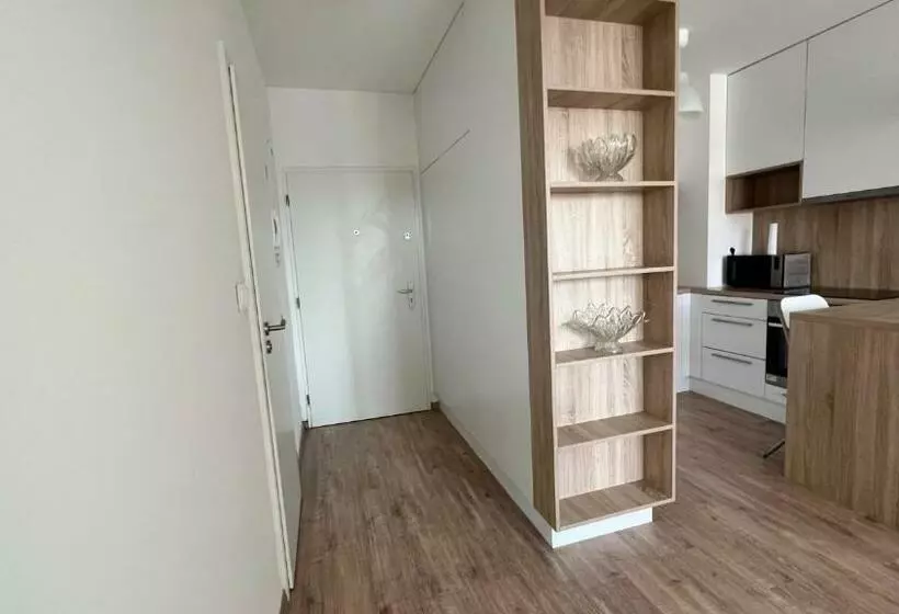 Air Conditioned 2 Room Apartment With Terrace, Prievozska Street