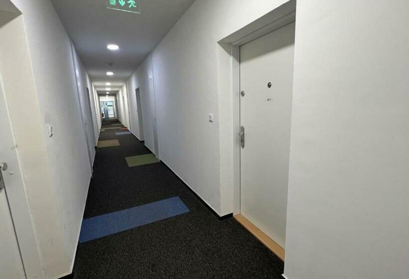 2 Room Apartment With Terrace, Prievozska Street