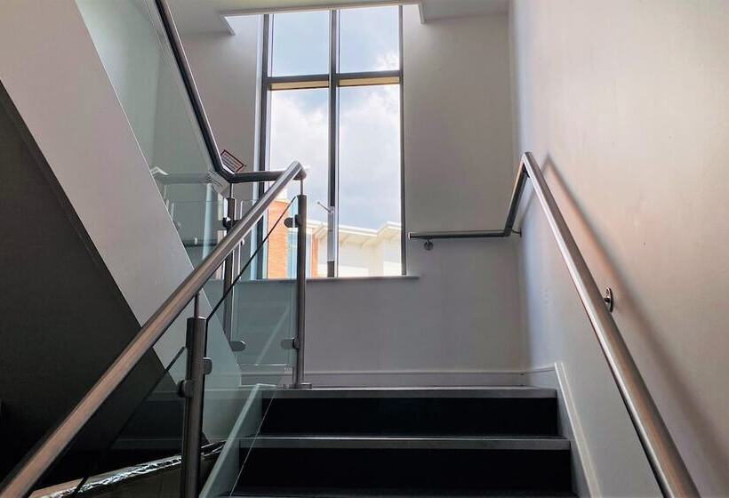 Albion Street Apartments