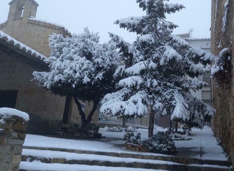 Apartamento Rural El Vidre Vt 42035 Cs