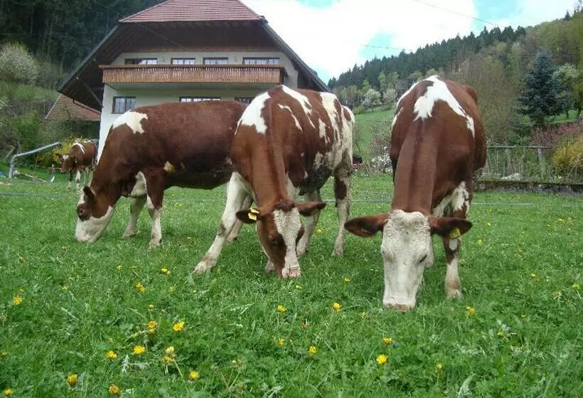 Geigerbauernhof