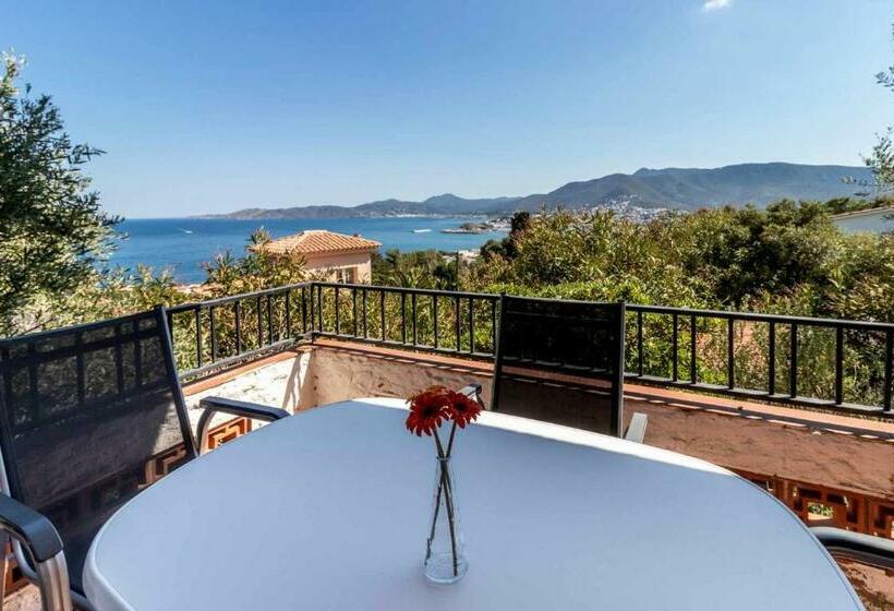 Grifeu 6 Apartamento Luminoso Con Terraza Y Vistas