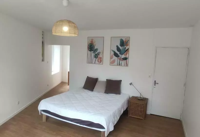 L Ecrin D Emile   Grand Studio Meublé Au Calme