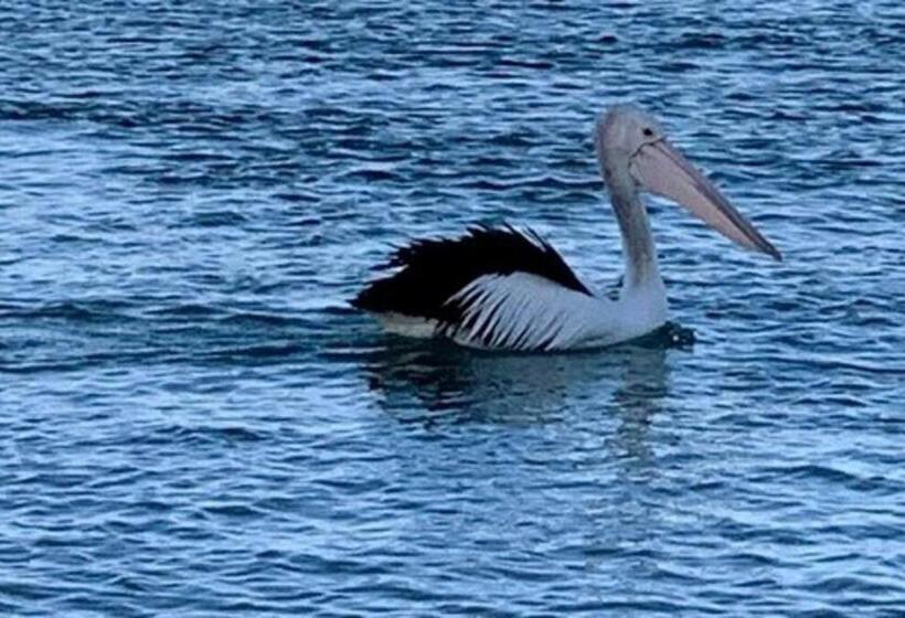 Lillybell Beach Retreat Binalong Bay