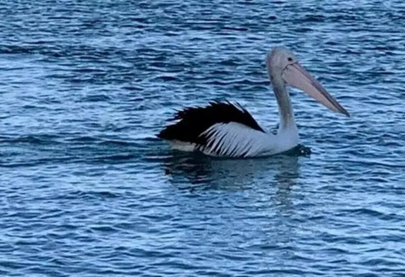 Lillybell Beach Retreat Binalong Bay