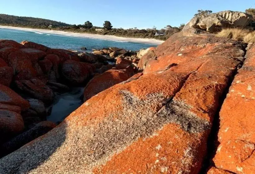 Lillybell Beach Retreat Binalong Bay