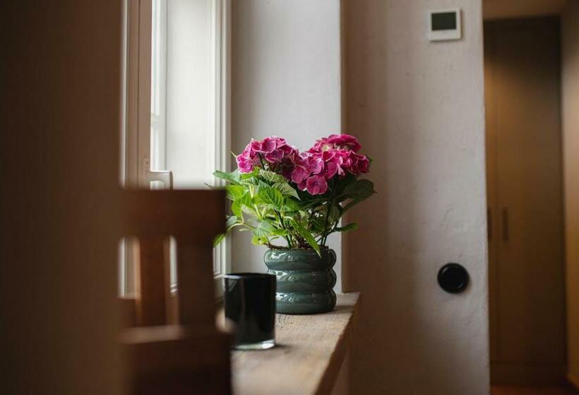 Raiņa Ielas Apartamenti R5