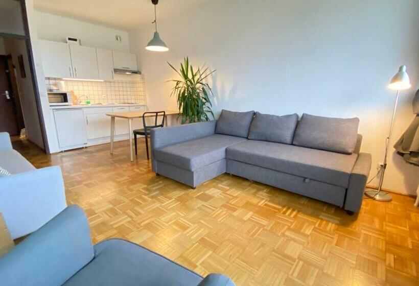 Bright Studio With View