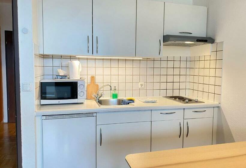 Bright Studio With View