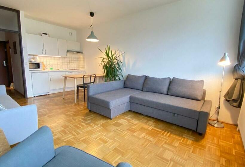 Bright Studio With View