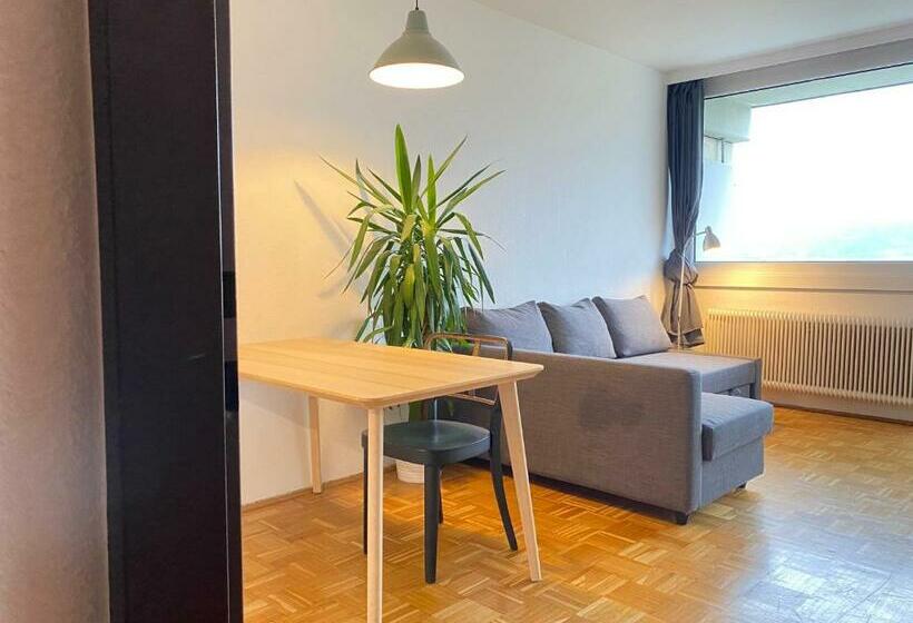 Bright Studio With View