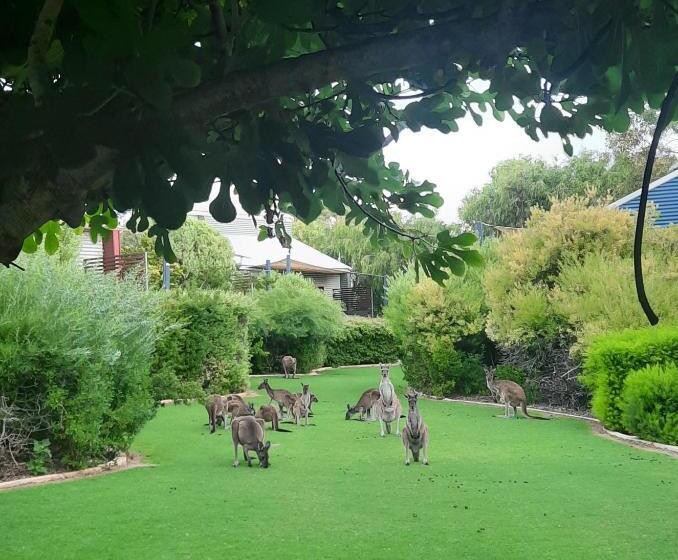 South West Getaway! Pool, Tennis & Foxtel