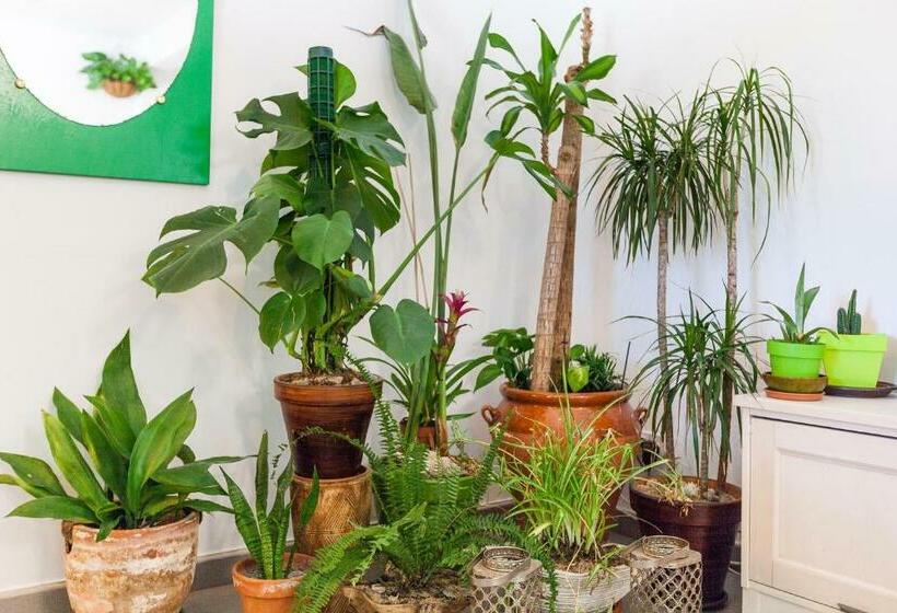 Boutique Beach Mataró