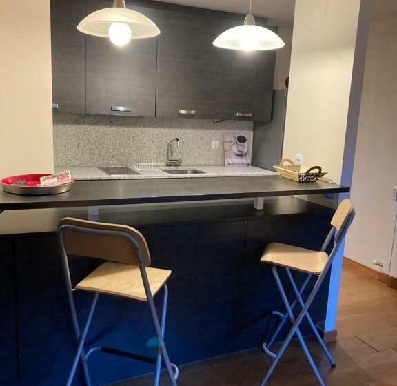 Apartamento Un Dormitorio Los Altos De Escarrilla, Formigal Panticosa