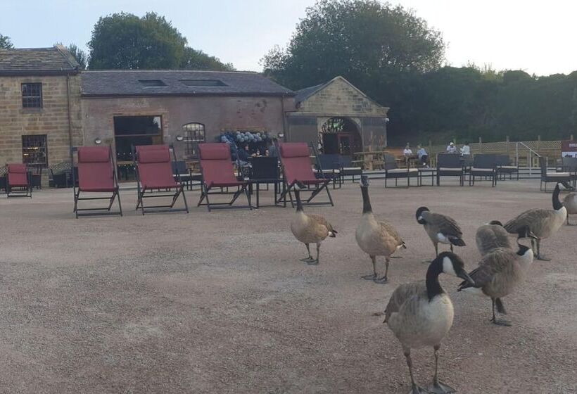 Sparks   Family Suite In Canalside Guesthouse