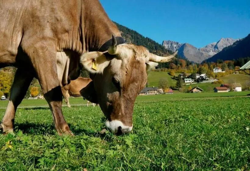 Wiesenblick