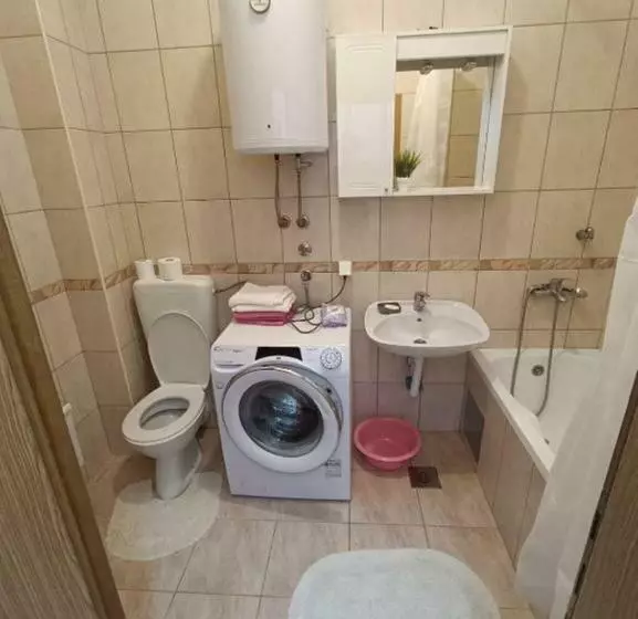 Apartment Romana