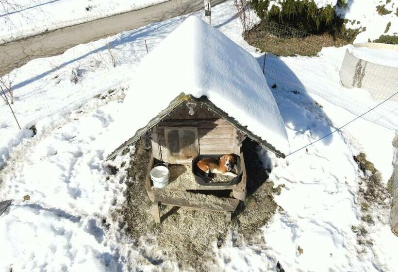 Schöne Ferienwohnung Im Naturpark Grebenzen