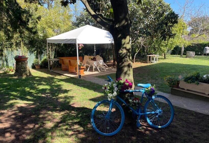 Appartamento In Villa Con Giardino Vicino Al Mare