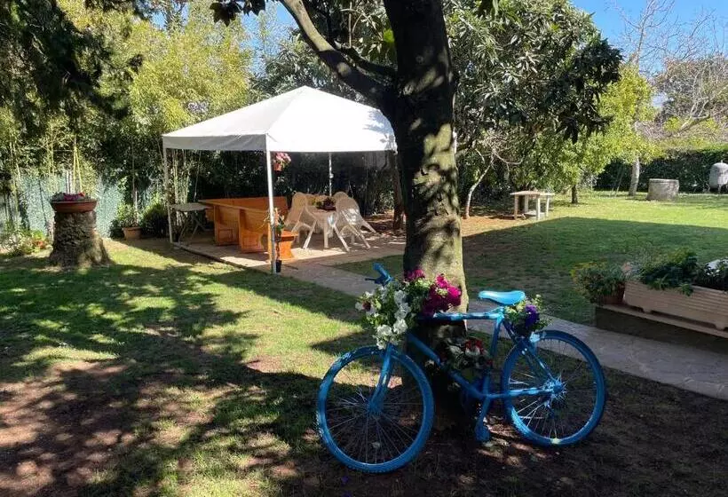 Appartamento In Villa Con Giardino Vicino Al Mare