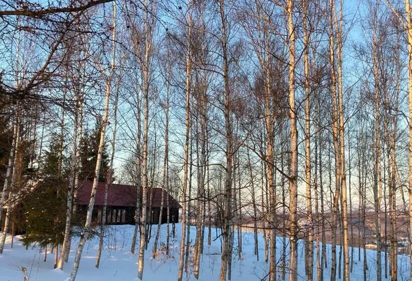 N Vacation   Vacation Stay 46575v