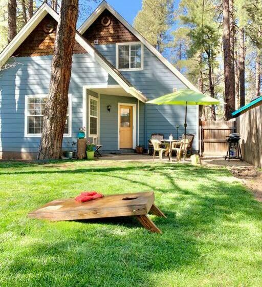 The Comforts Inn: Mountain Escape